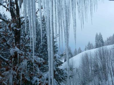 Kleinwalsertal Wochenende