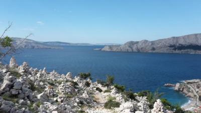 20170516 084601 Bunculuka