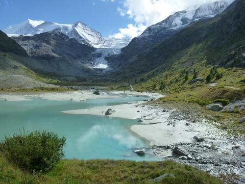 P1000034 Bishorn und Turtmanngletscher