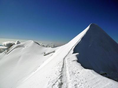 P1020378 Castor Grat