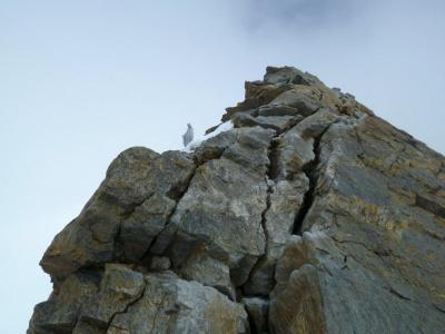 P1020480 Schwarzhorn