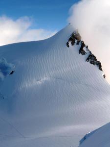 P1020608 Cabana Margerita auf Signalkuppe