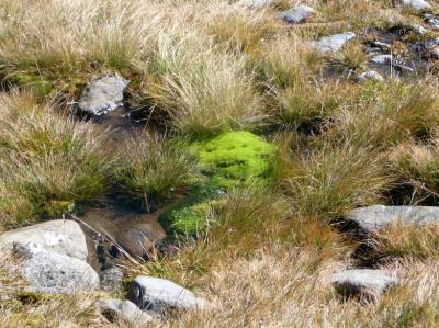 Z 09-10 Similaun 040