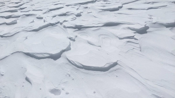 20220405100416 00055