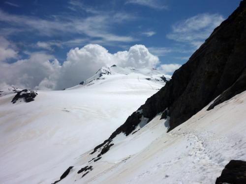 P1060875 Blick zum Monte Cevedale